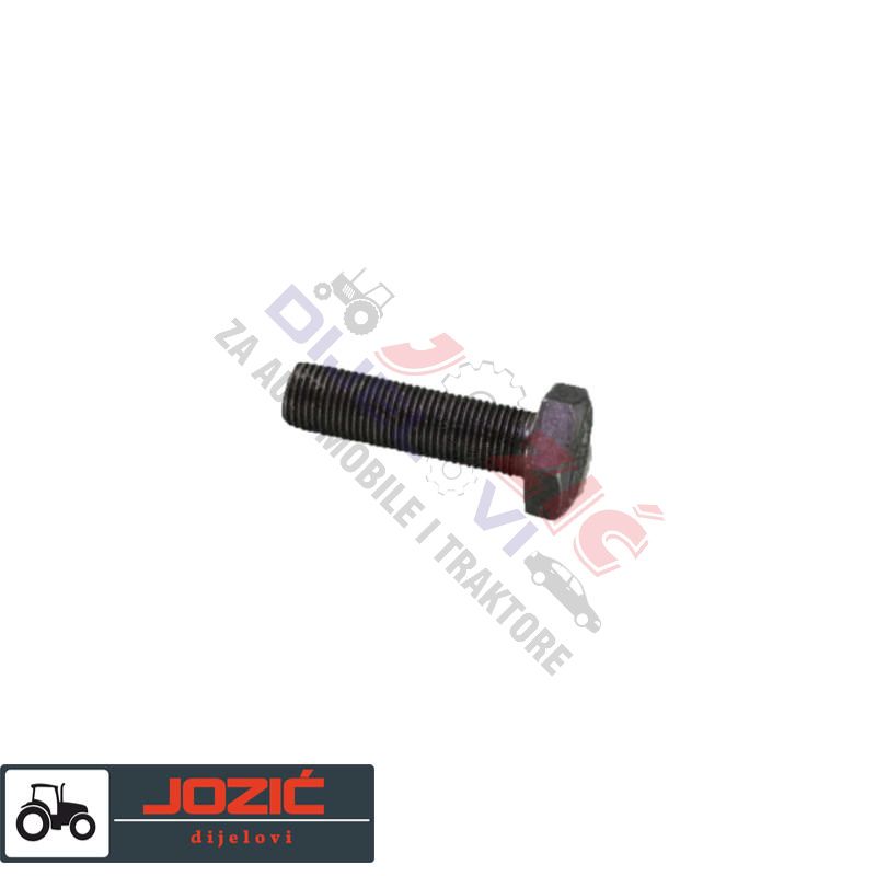 Daisy on the Ohoopee