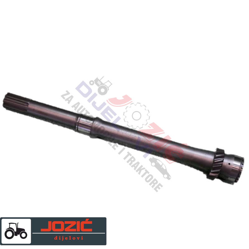 Daisy on the Ohoopee