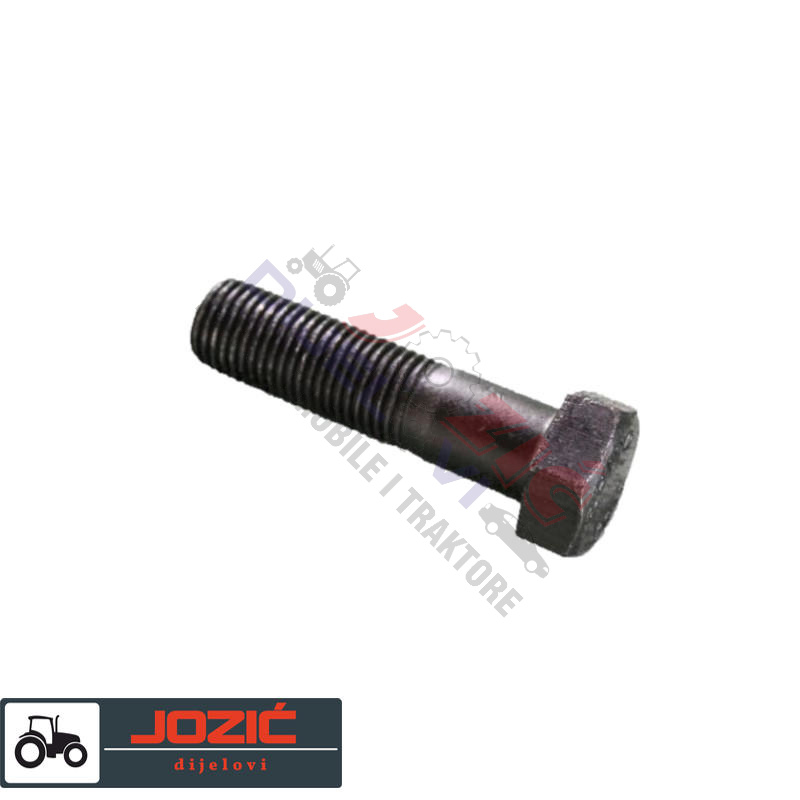 Daisy on the Ohoopee