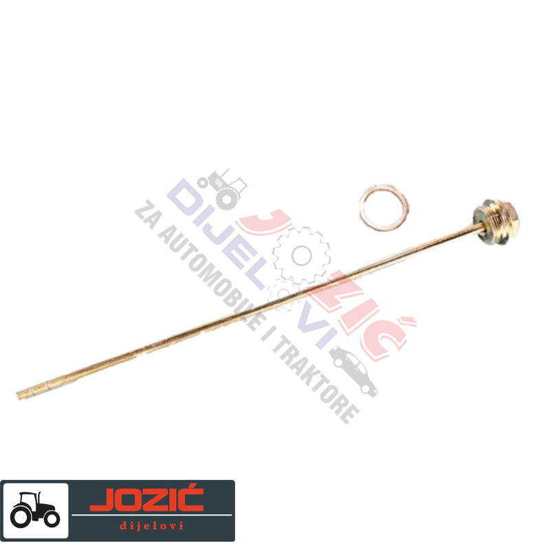 Daisy on the Ohoopee