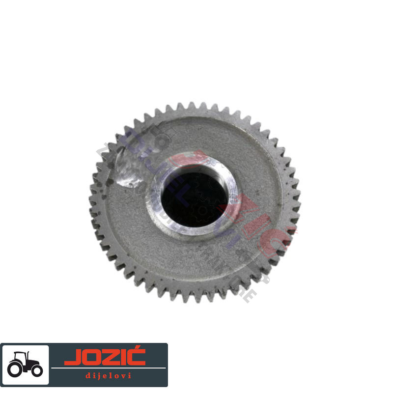 Daisy on the Ohoopee