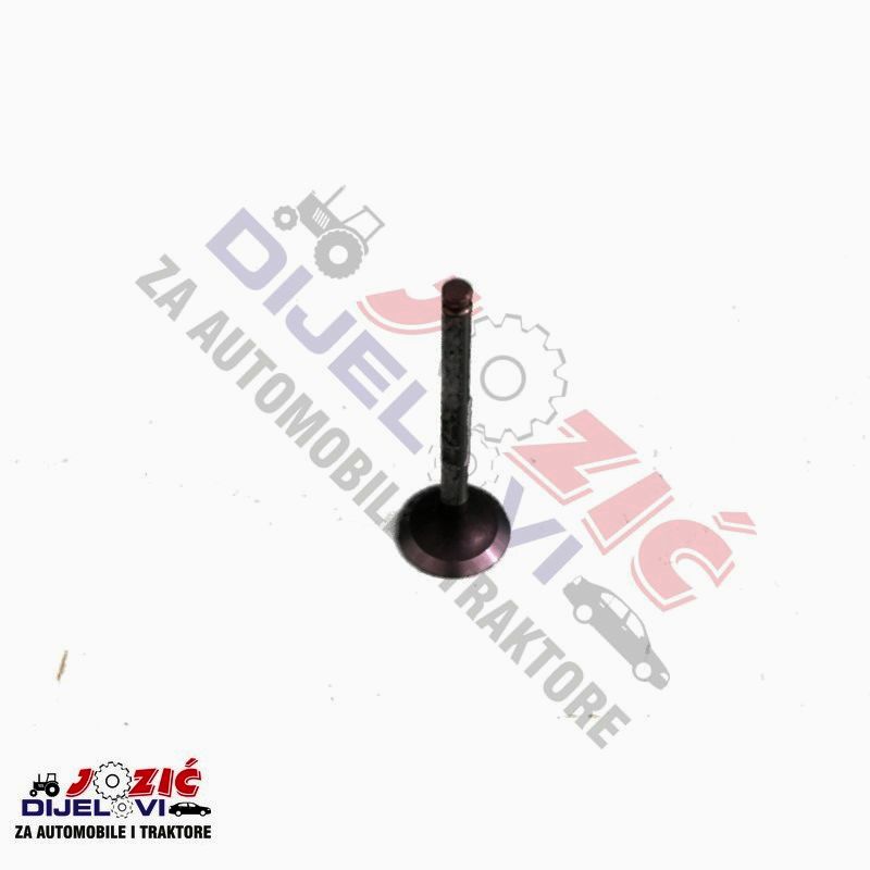 Daisy on the Ohoopee