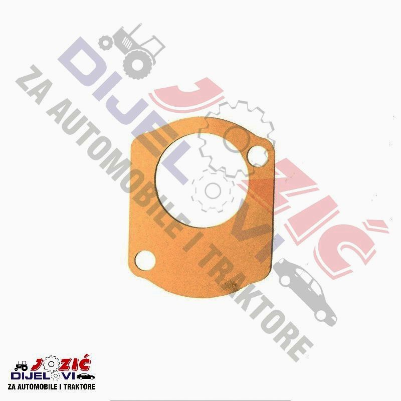 Daisy on the Ohoopee