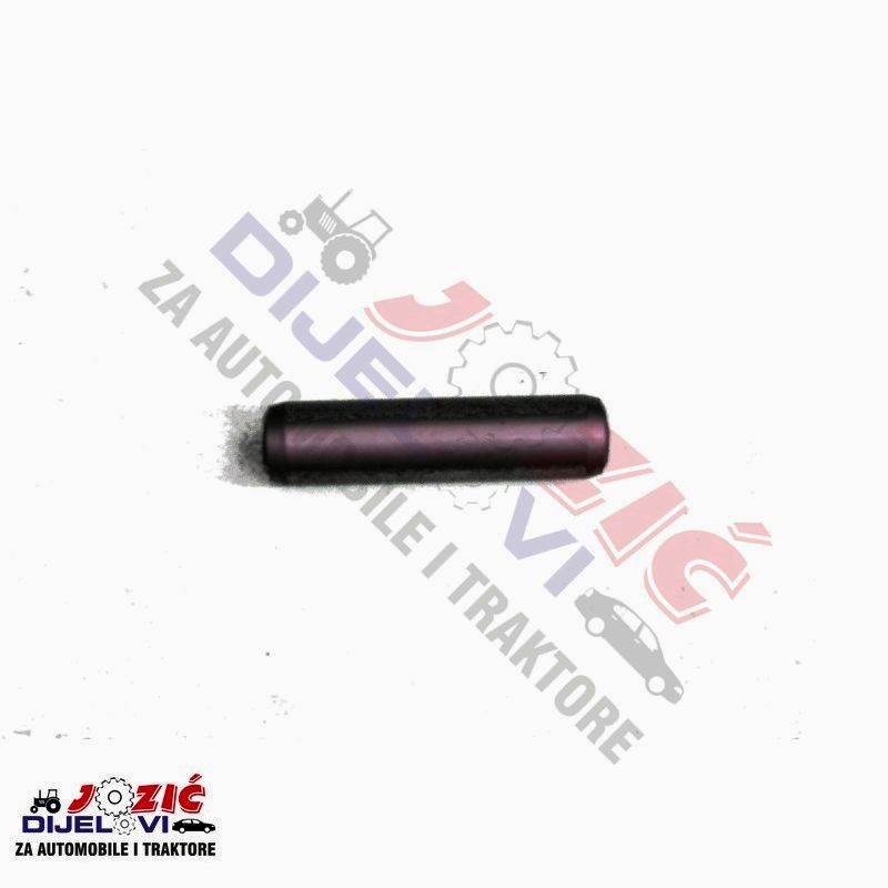 Daisy on the Ohoopee