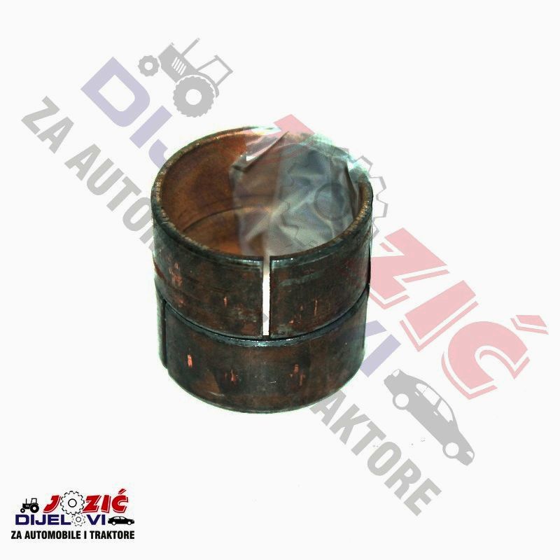 Daisy on the Ohoopee