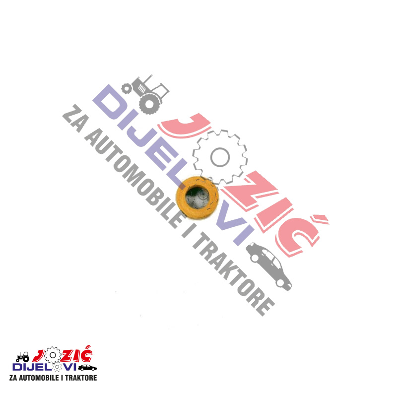 Daisy on the Ohoopee