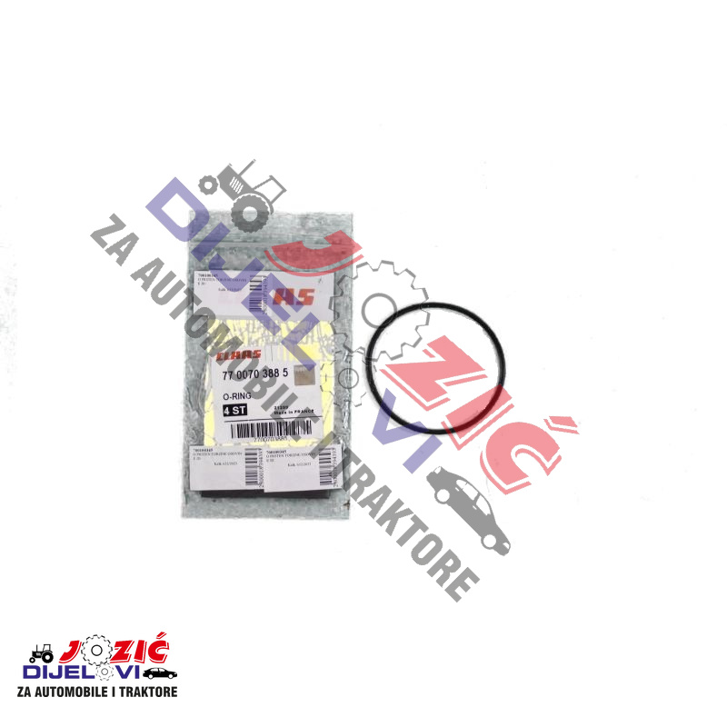 Daisy on the Ohoopee