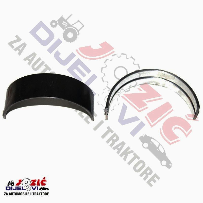 Daisy on the Ohoopee