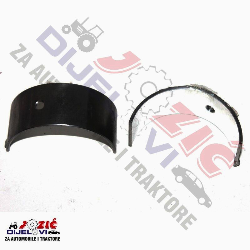 Daisy on the Ohoopee