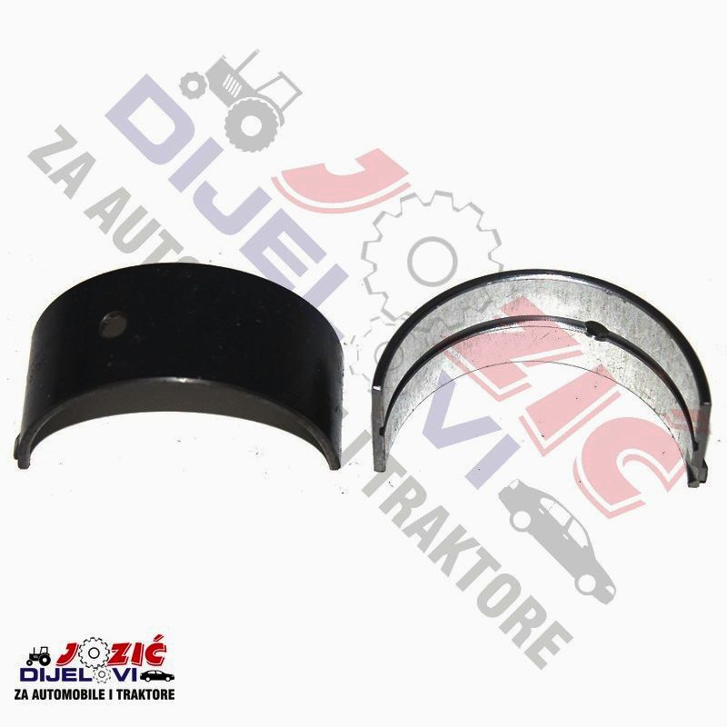 Daisy on the Ohoopee