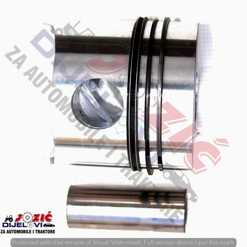 Daisy on the Ohoopee