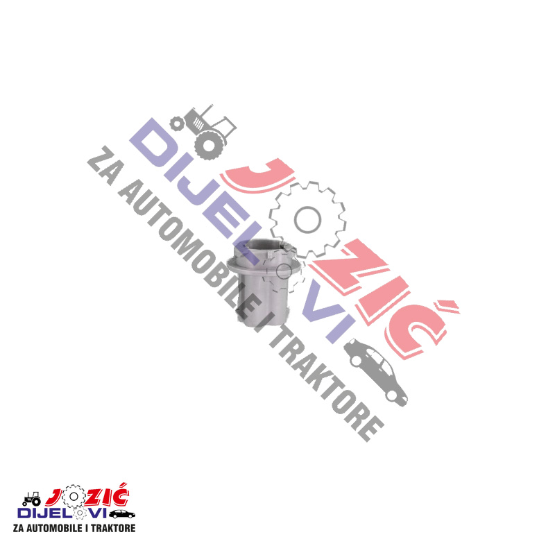 Daisy on the Ohoopee