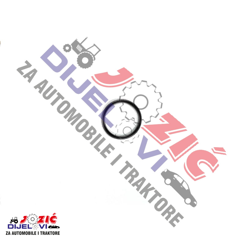 Daisy on the Ohoopee