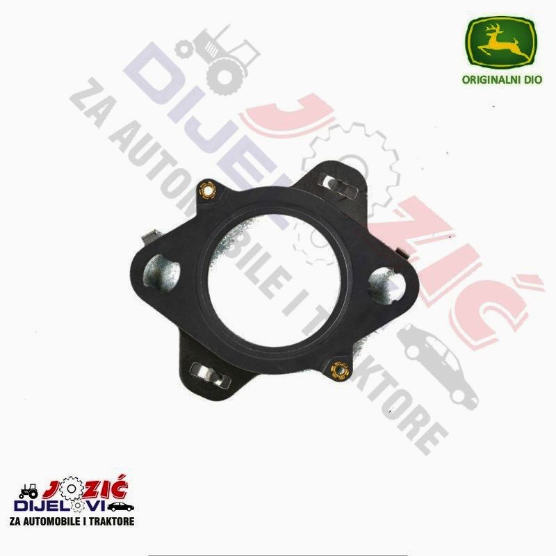 Daisy on the Ohoopee