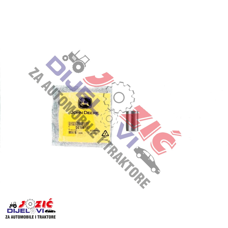 Daisy on the Ohoopee