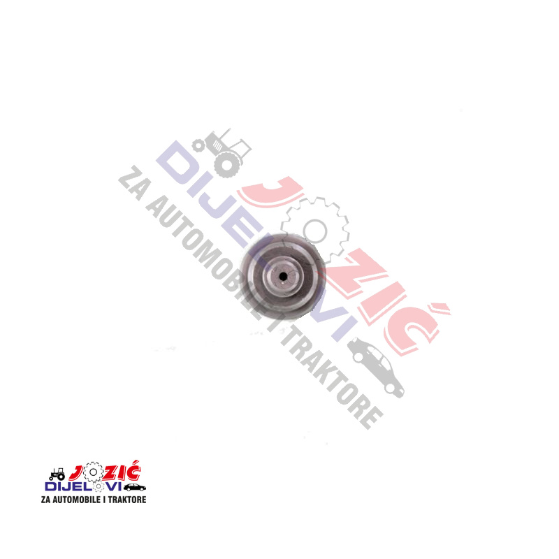 Daisy on the Ohoopee