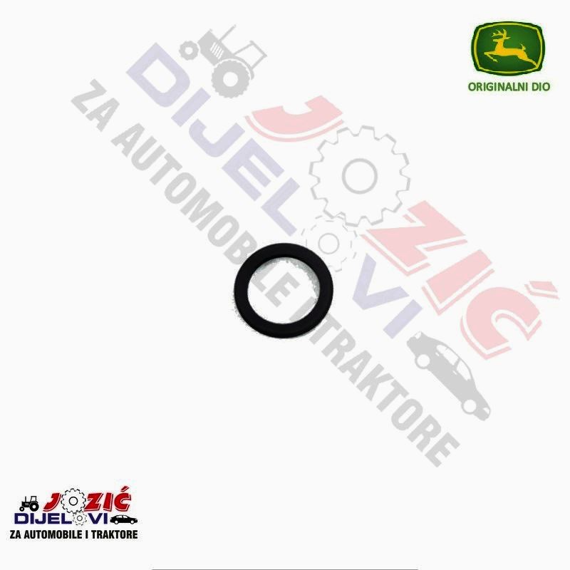 Daisy on the Ohoopee