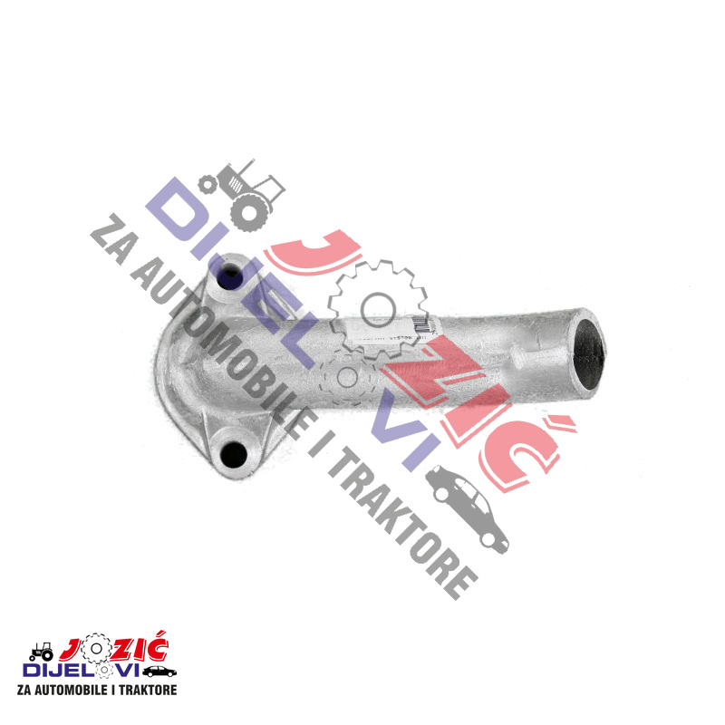 Daisy on the Ohoopee