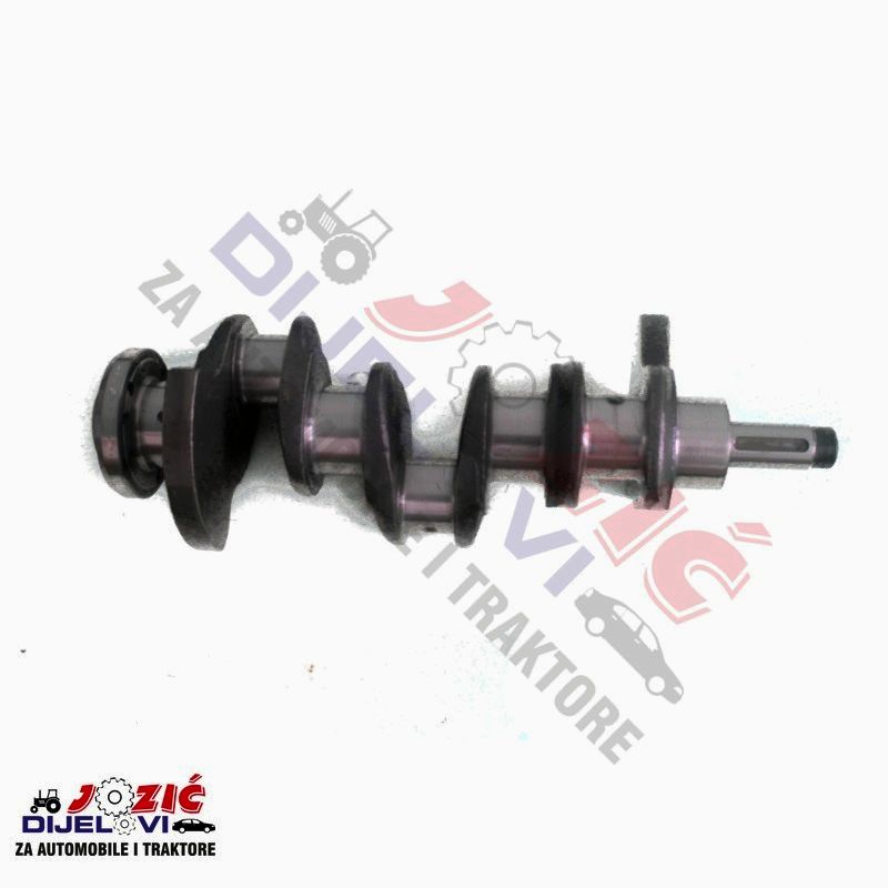 Daisy on the Ohoopee