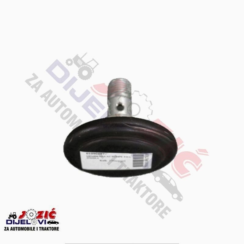 Daisy on the Ohoopee