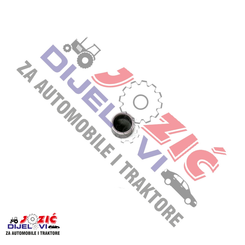 Daisy on the Ohoopee