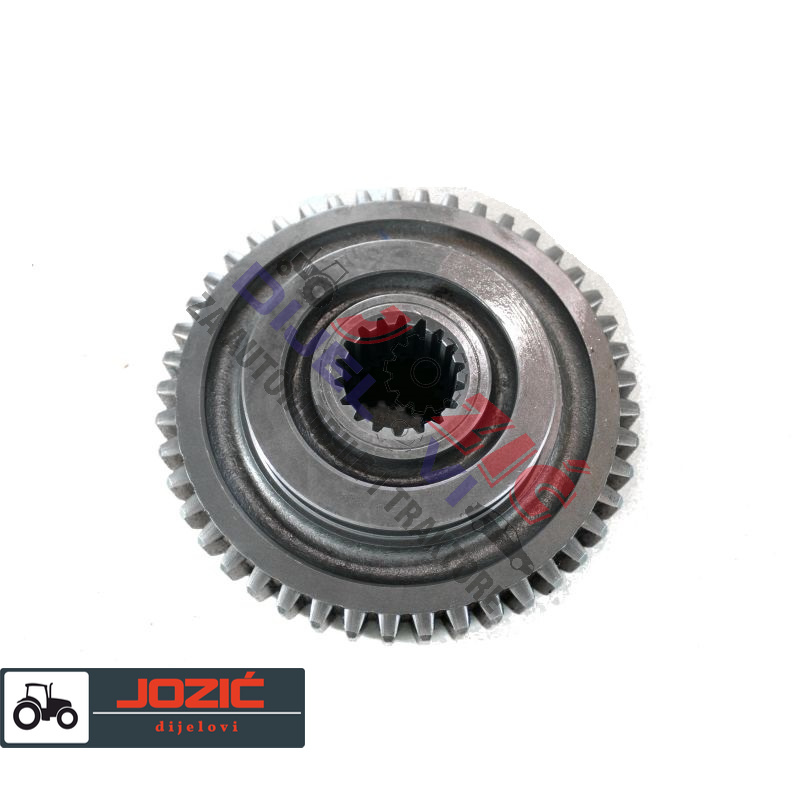 Daisy on the Ohoopee