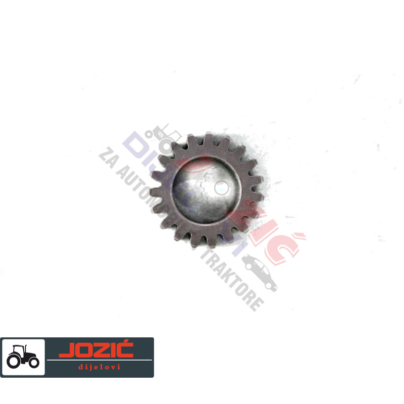 Daisy on the Ohoopee