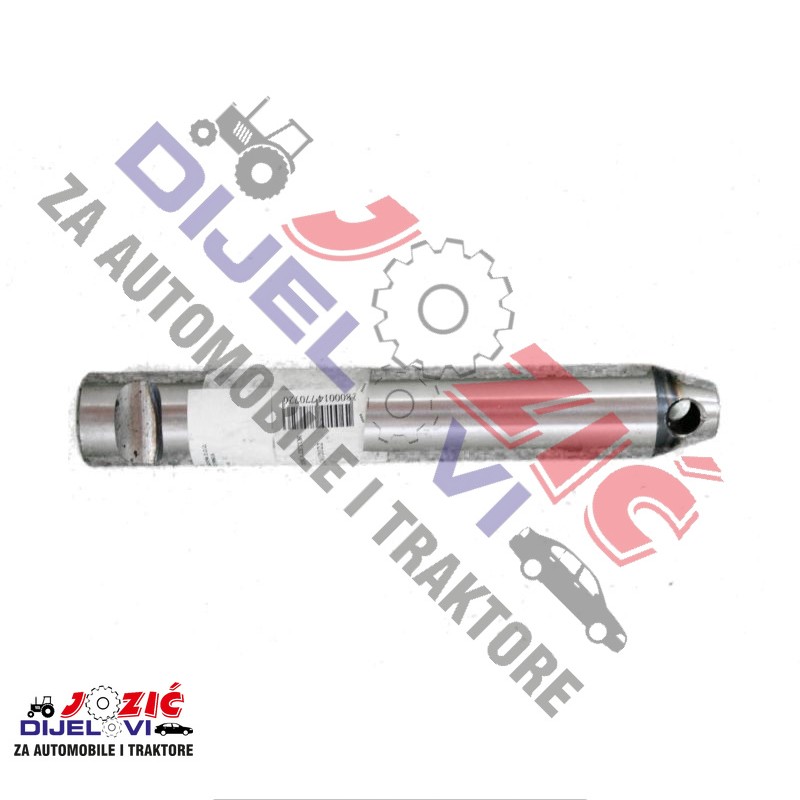 Daisy on the Ohoopee