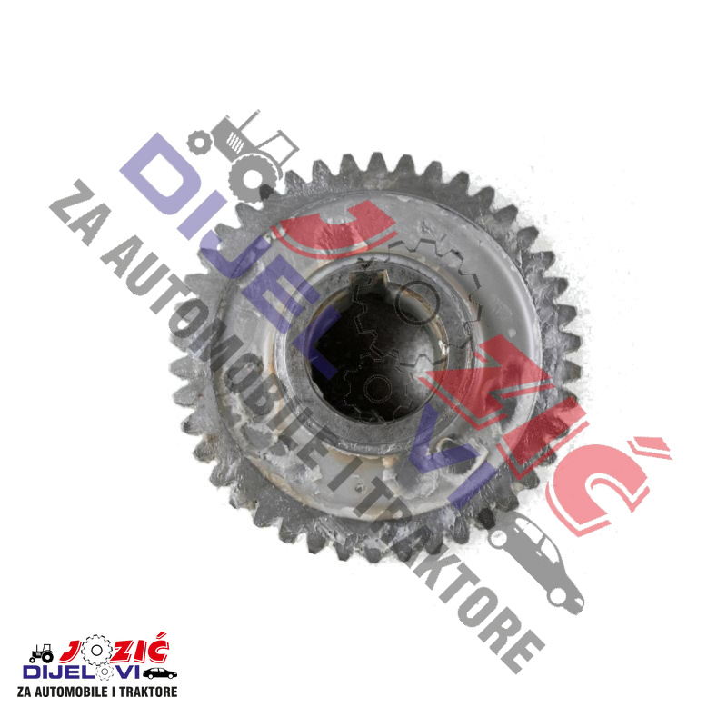 Daisy on the Ohoopee