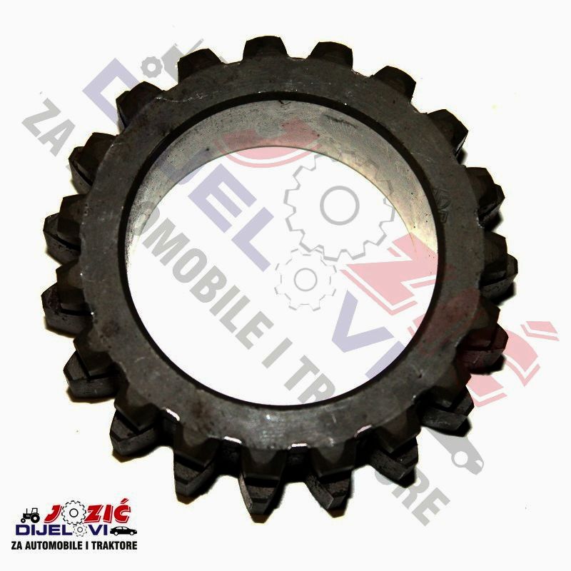 Daisy on the Ohoopee