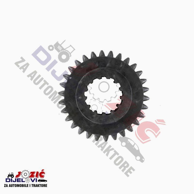 Daisy on the Ohoopee