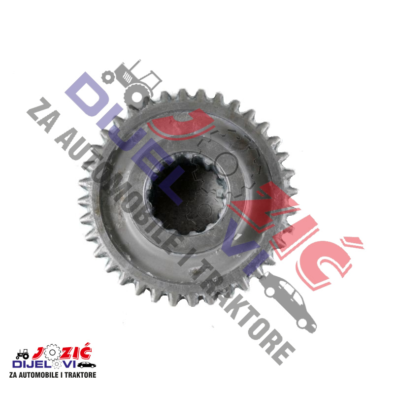 Daisy on the Ohoopee