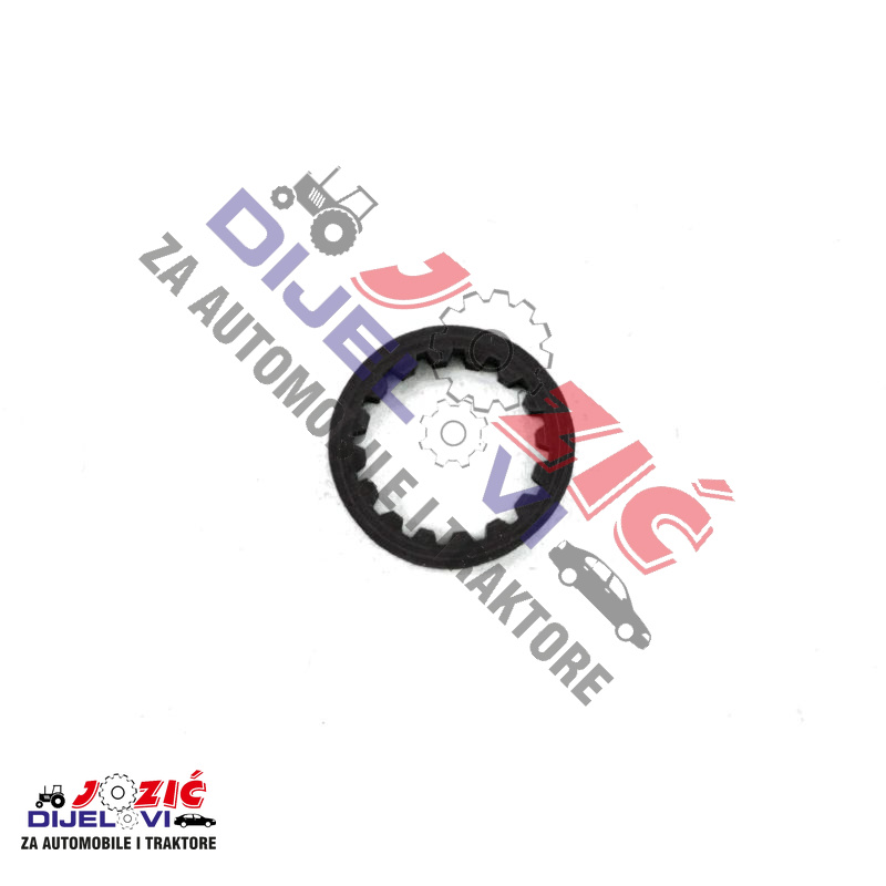 Daisy on the Ohoopee