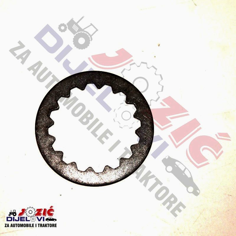 Daisy on the Ohoopee