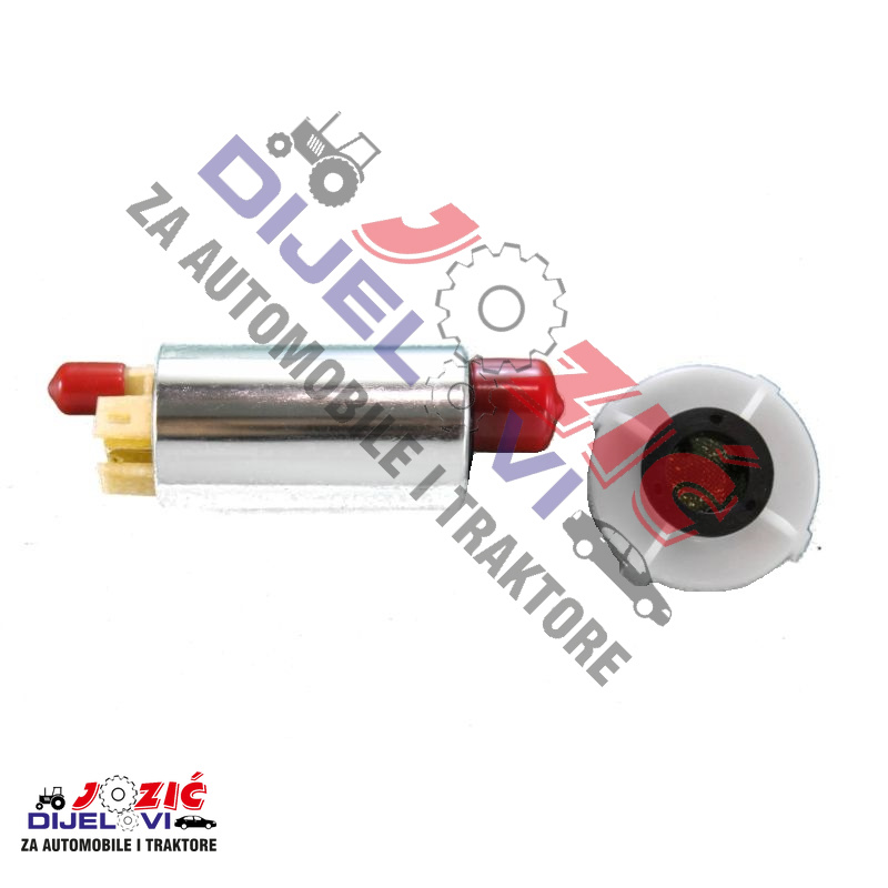 Daisy on the Ohoopee