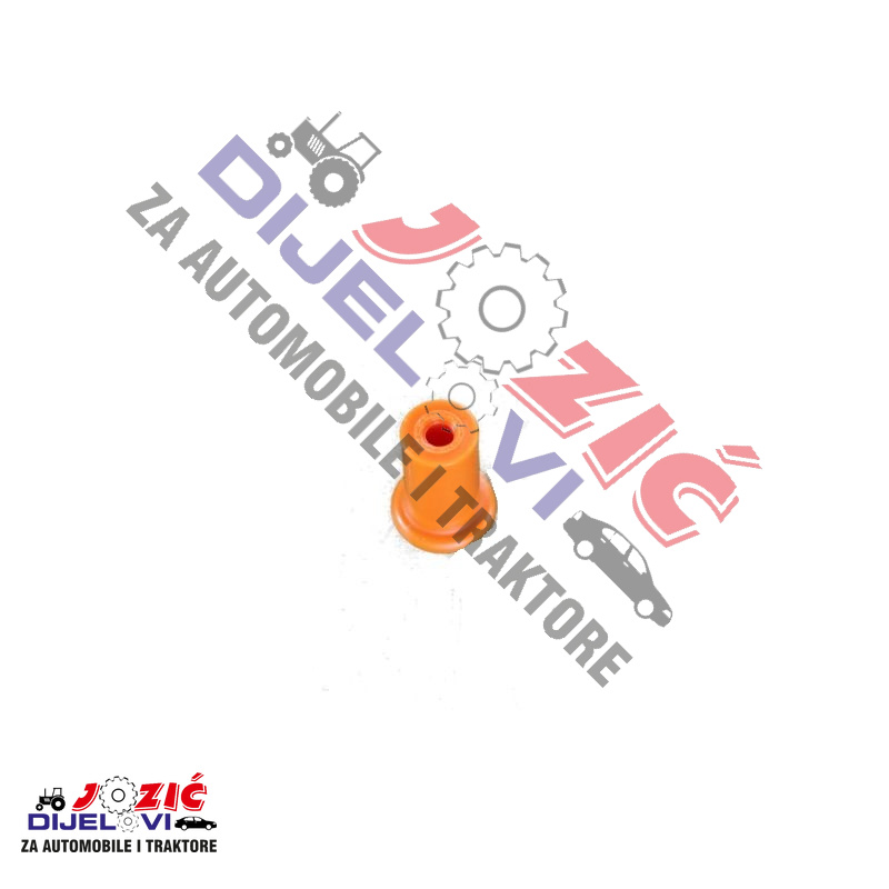 Daisy on the Ohoopee