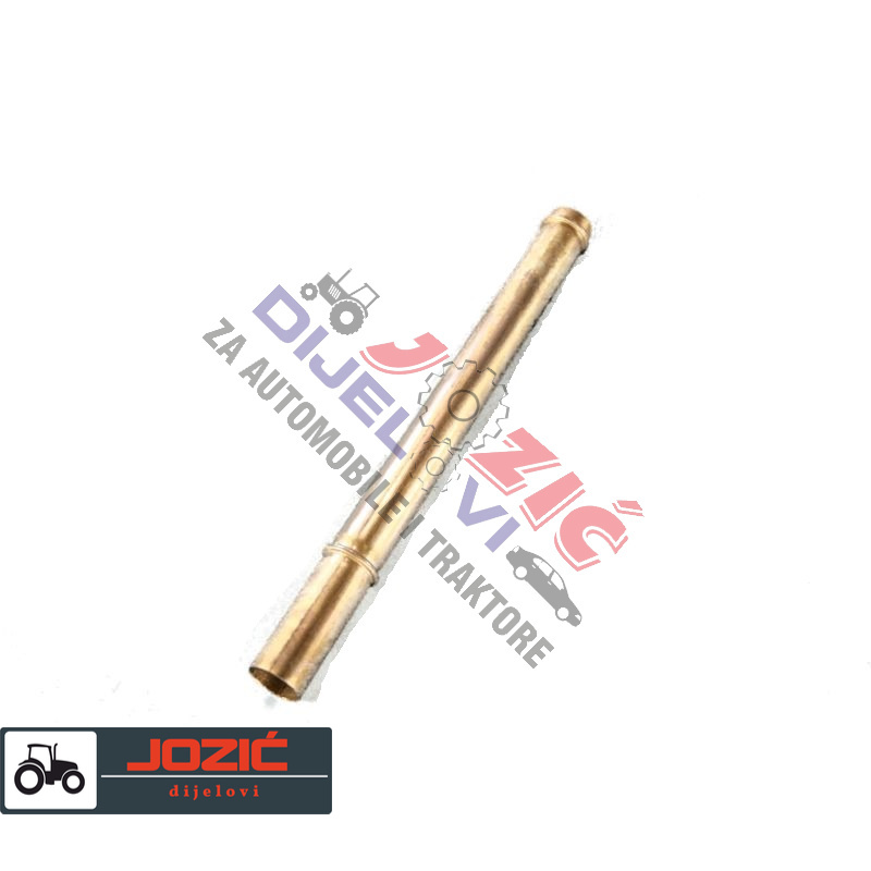 Daisy on the Ohoopee