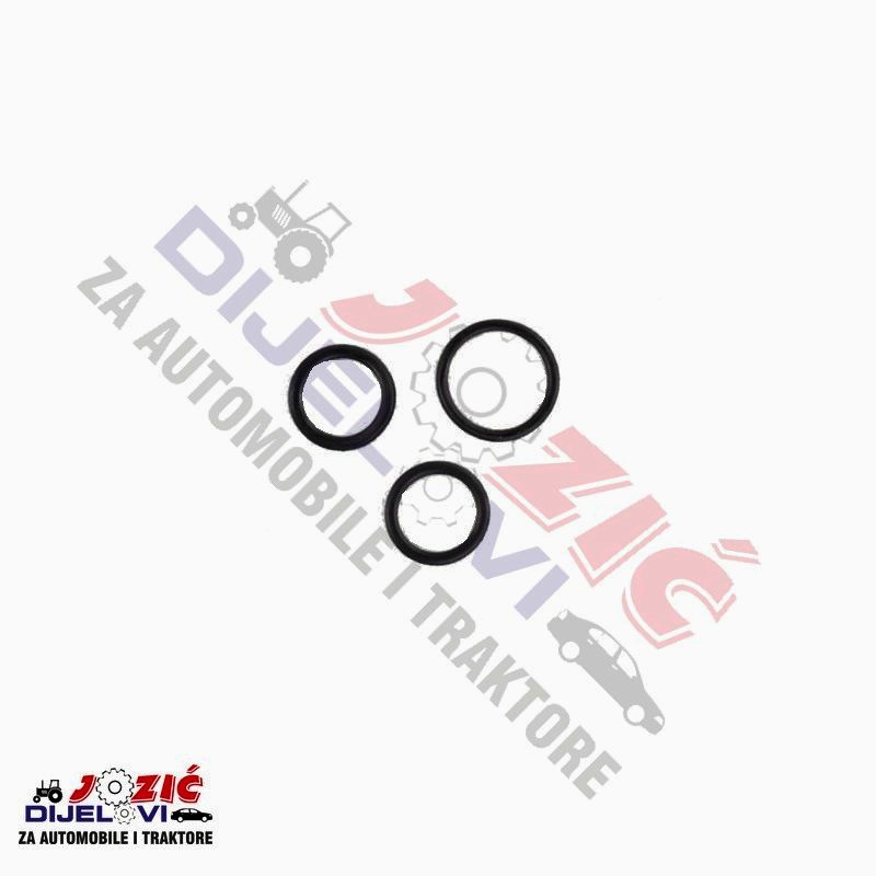 Daisy on the Ohoopee