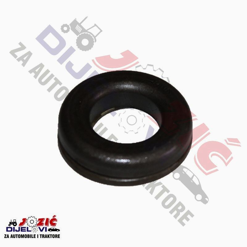 Daisy on the Ohoopee