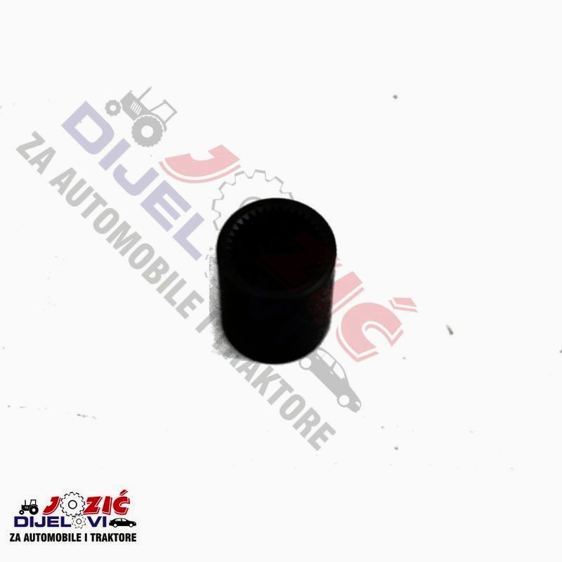 Daisy on the Ohoopee