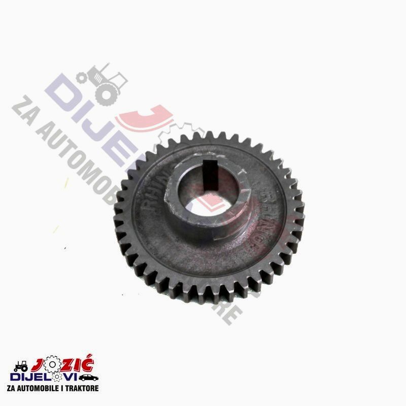 Daisy on the Ohoopee