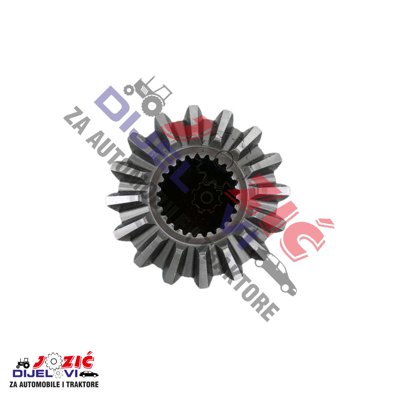 Daisy on the Ohoopee