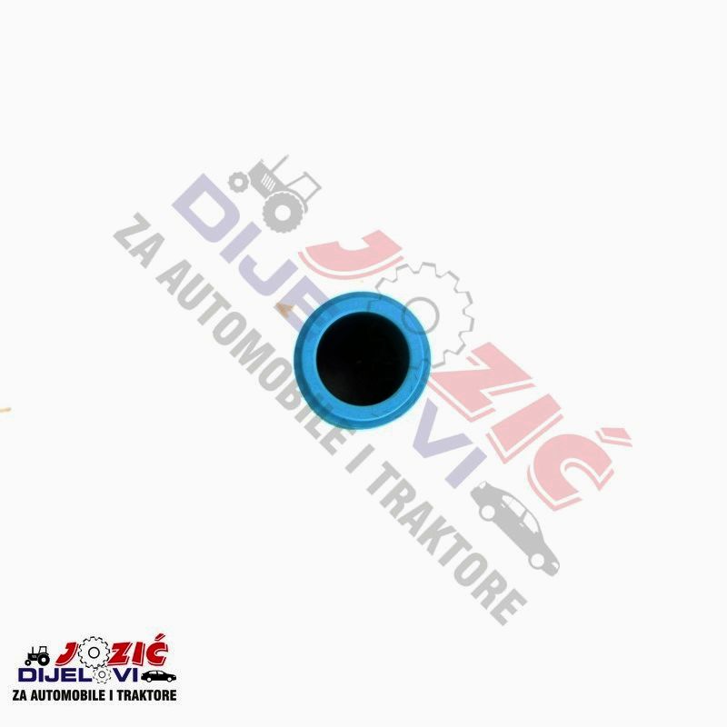 Daisy on the Ohoopee