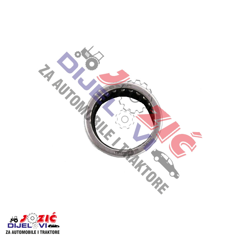 Daisy on the Ohoopee