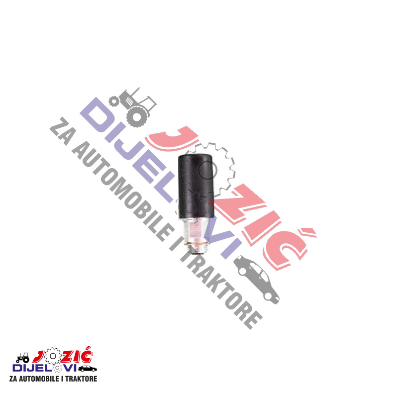 Daisy on the Ohoopee