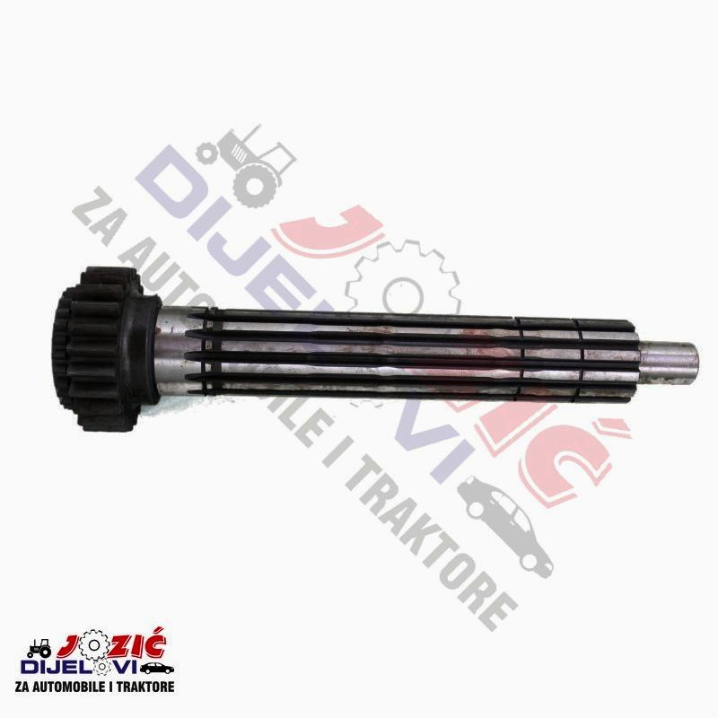 Daisy on the Ohoopee