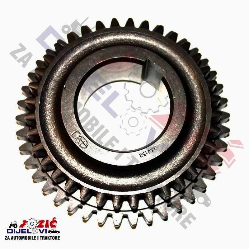 Daisy on the Ohoopee