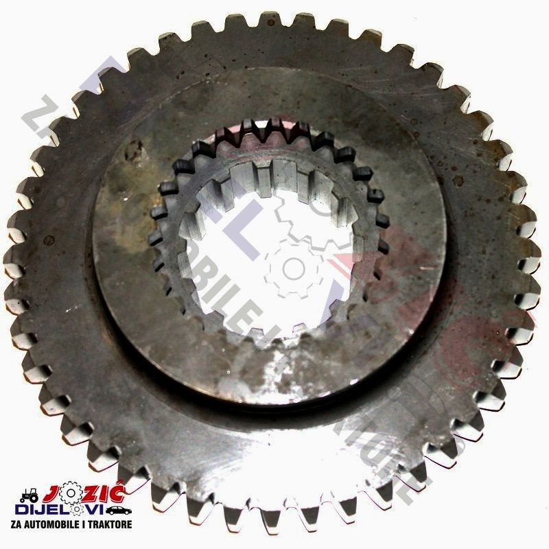 Daisy on the Ohoopee