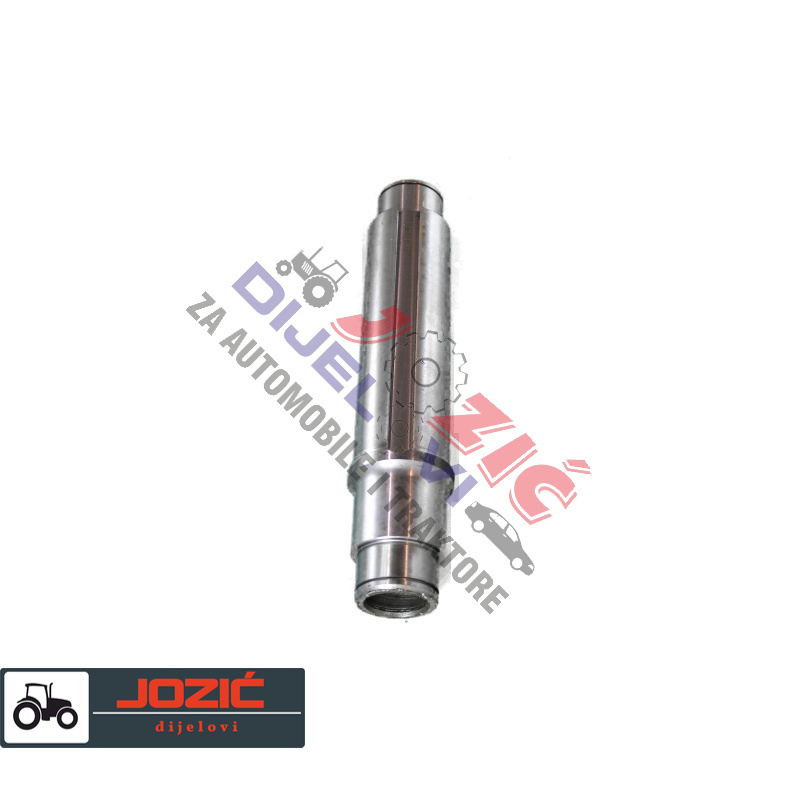 Daisy on the Ohoopee