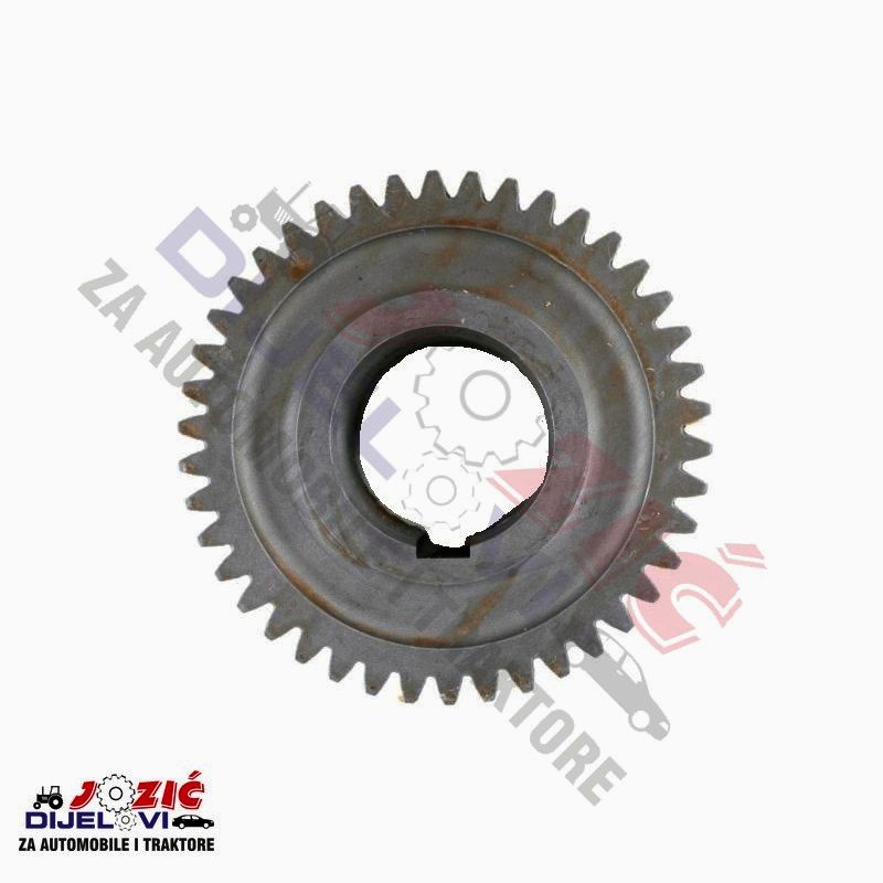 Daisy on the Ohoopee